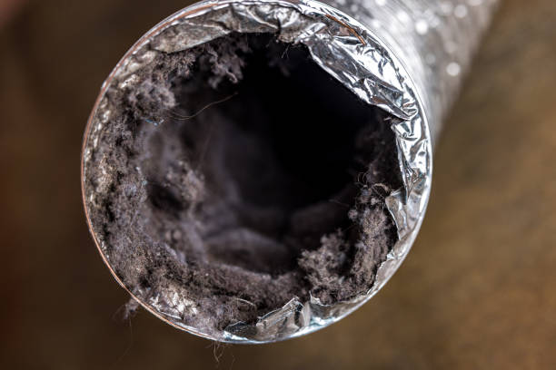 Best Dryer Vent Cleaning Services  in Walnut Grove, CA